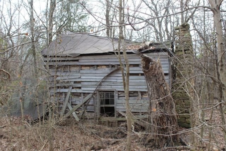 198.8 Acre Hopkinsville Kentucky Crop & Hunting Farm - image 19