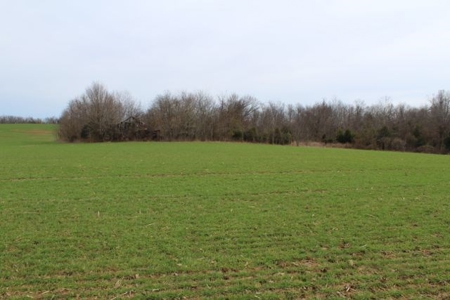 198.8 Acre Hopkinsville Kentucky Crop & Hunting Farm - image 29