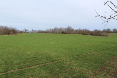 198.8 Acre Hopkinsville Kentucky Crop & Hunting Farm - image 24