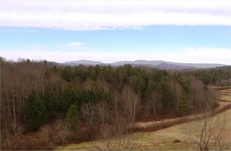 Absolute Auction! 90% Completed Home, Crumpler, Nc. 3/11/17 - image 32
