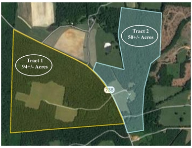 Auction 146Ac Farm Pine Plantation / Cropland /Kerr Lake - image 1