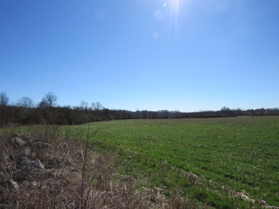 Riverfront Country Home and Farmland - Absolute Auction - image 22
