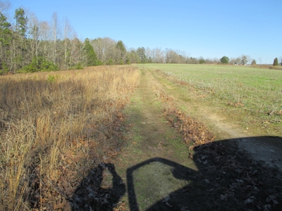 91+ Acre Farm Kerr Lake  Exceptional Timber And Cropland - image 22