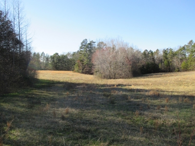 91+ Acre Farm Kerr Lake  Exceptional Timber And Cropland - image 8