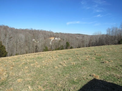 Pasture Land Absolute Auction - image 4