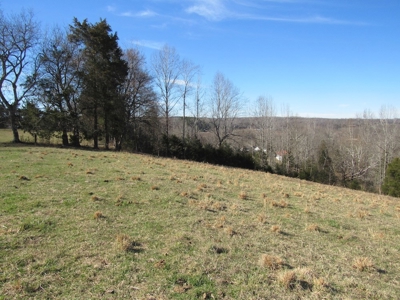 Pasture Land Absolute Auction - image 6