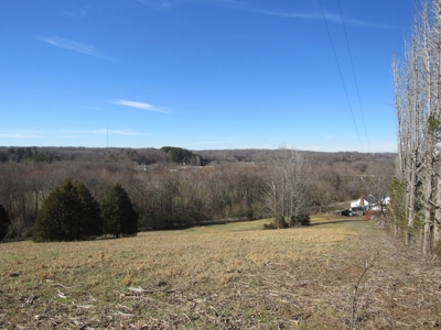 Country Home Absolute Auction - image 15