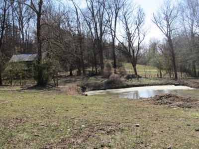 Country Home Absolute Auction - image 13
