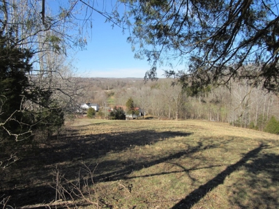 Country Home Absolute Auction - image 16