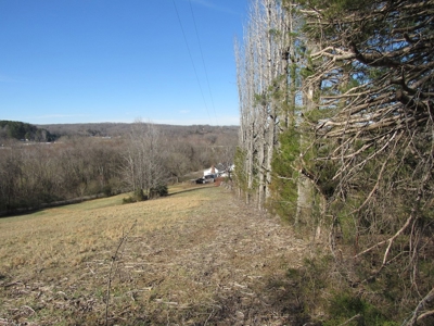 Country Home Absolute Auction - image 14
