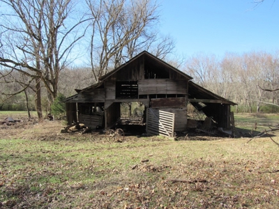 Acreage For Sale Absolute Auction - image 5