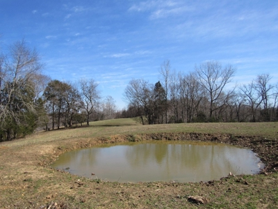Acreage For Sale Absolute Auction - image 3