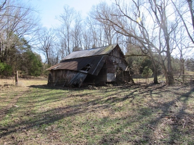 Acreage For Sale Absolute Auction - image 4