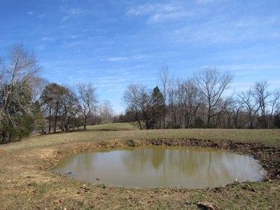 Acreage For Sale Absolute Auction - image 2
