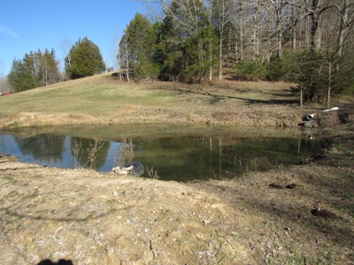Acreage For Sale Absolute Auction - image 9