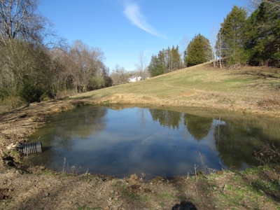 Acreage For Sale Absolute Auction - image 10