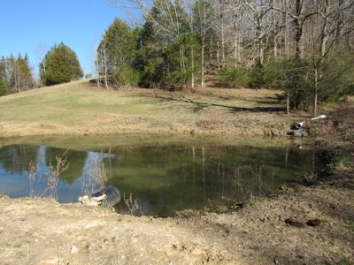 Acreage For Sale Absolute Auction - image 8