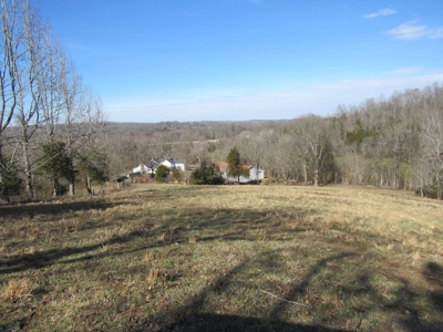 Acreage For Sale Absolute Auction - image 1
