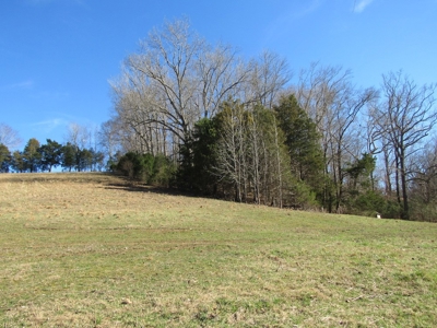 Acreage For Sale Absolute Auction - image 7