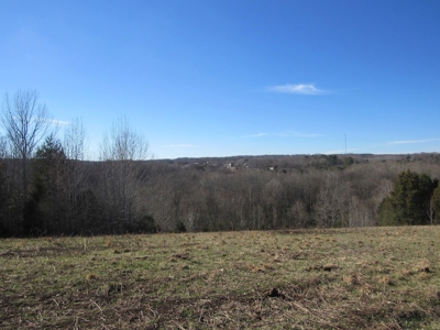 Pastureland For Sale Absolute Auction - image 7