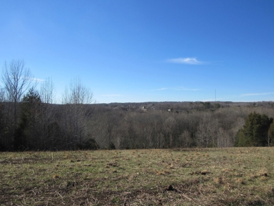 Pastureland For Sale Absolute Auction - image 6