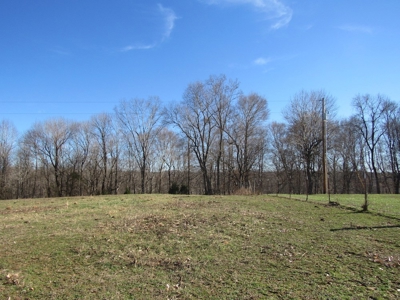 Pastureland for Sale Absolute Auction - image 2