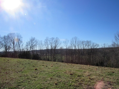 Pastureland for Sale Absolute Auction - image 1