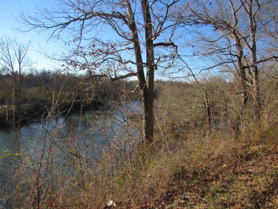Pastureland for Sale Absolute Auction - image 4