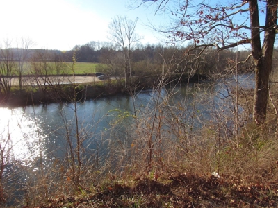 Pastureland for Sale Absolute Auction - image 5