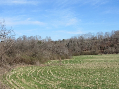 Buffalo River Farmland For Sale Absolute Auction - image 1