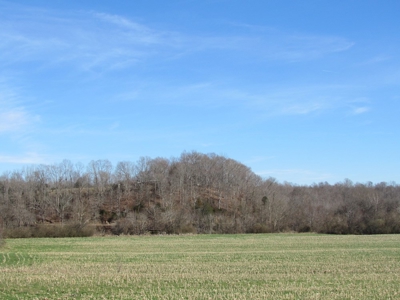 Buffalo River Farmland For Sale Absolute Auction - image 2