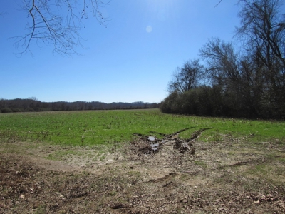 Farmland for Sale Absolute Auction - image 14