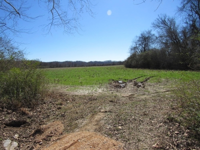 Farmland for Sale Absolute Auction - image 13