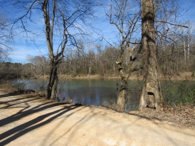 Farmland for Sale Absolute Auction - image 15