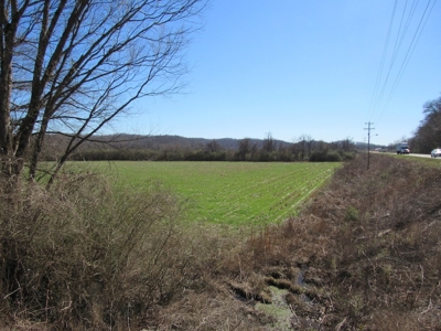 Farmland for Sale Absolute Auction - image 8