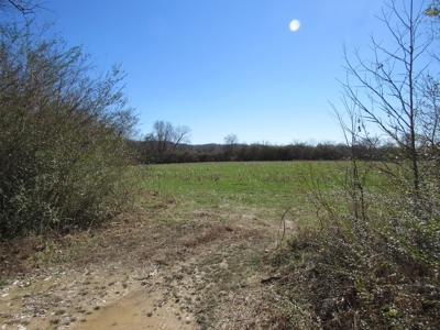 Farmland for Sale Absolute Auction - image 9
