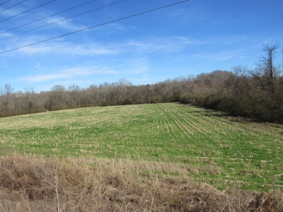 Farmland for Sale Absolute Auction - image 1