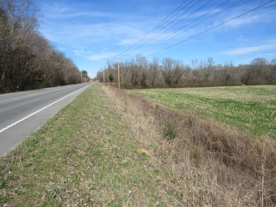 Farmland for Sale Absolute Auction - image 4