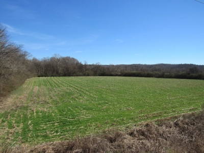Farmland for Sale Absolute Auction - image 6
