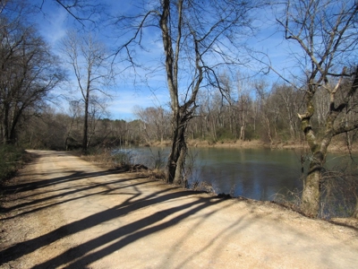Farmland for Sale Absolute Auction - image 16
