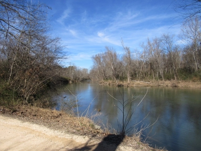 Farmland for Sale Absolute Auction - image 12