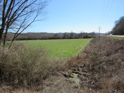 Farmland for Sale Absolute Auction - image 7