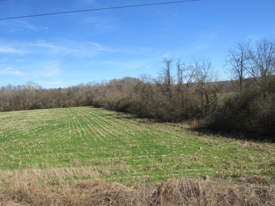 Farmland for Sale Absolute Auction - image 2
