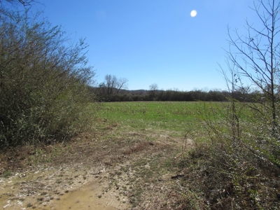 Farmland for Sale Absolute Auction - image 10