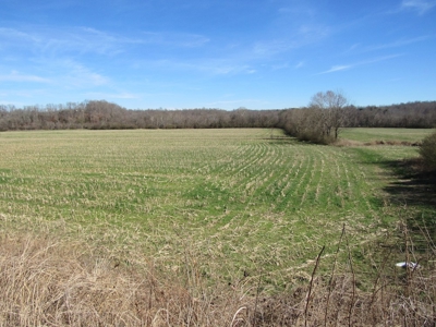 Buffalo Riverfront Land for Sale Absolute Auction - image 1