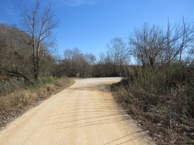 Buffalo River Front Land for Sale Absolute Auction - image 3
