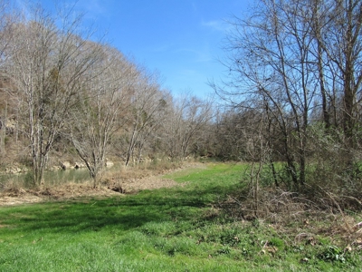 Buffalo River Front Land for Sale Absolute Auction - image 11