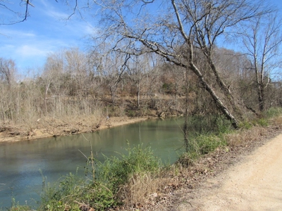 Buffalo River Front Land for Sale Absolute Auction - image 2