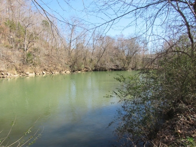 Buffalo River Front Land for Sale Absolute Auction - image 12