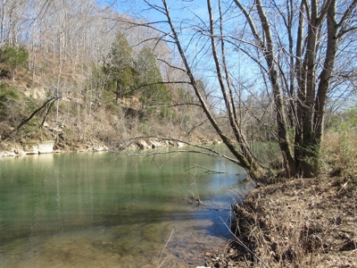 Buffalo River Front Land for Sale Absolute Auction - image 8